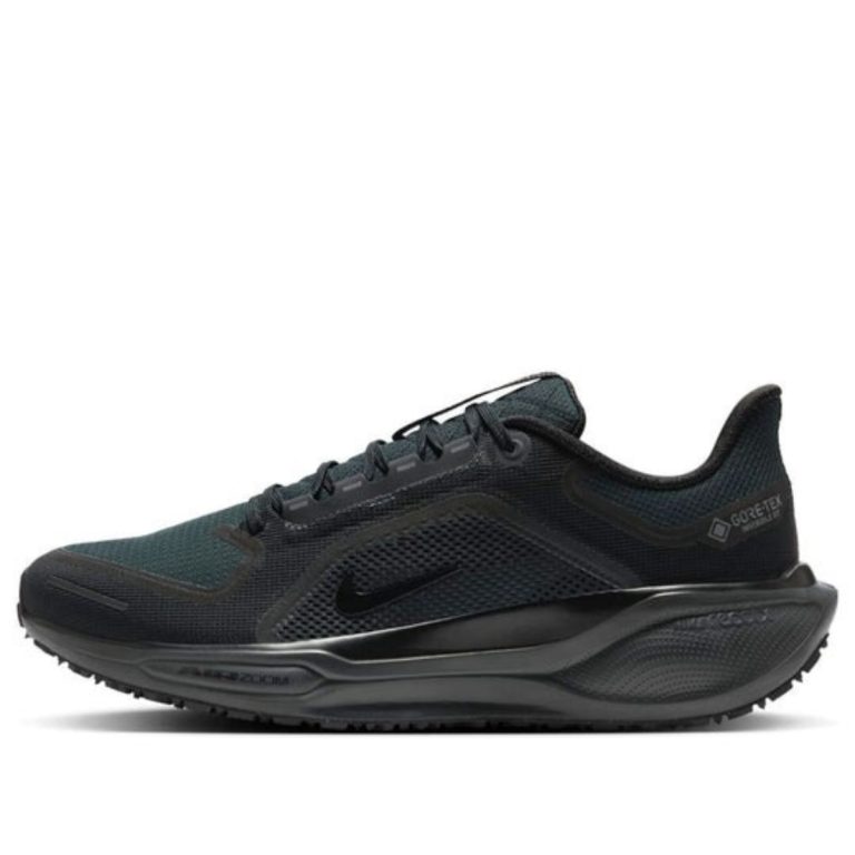 Nike Air Zoom Pegasus 41 GORE-TEX 'Black Anthracite' FQ1356-001