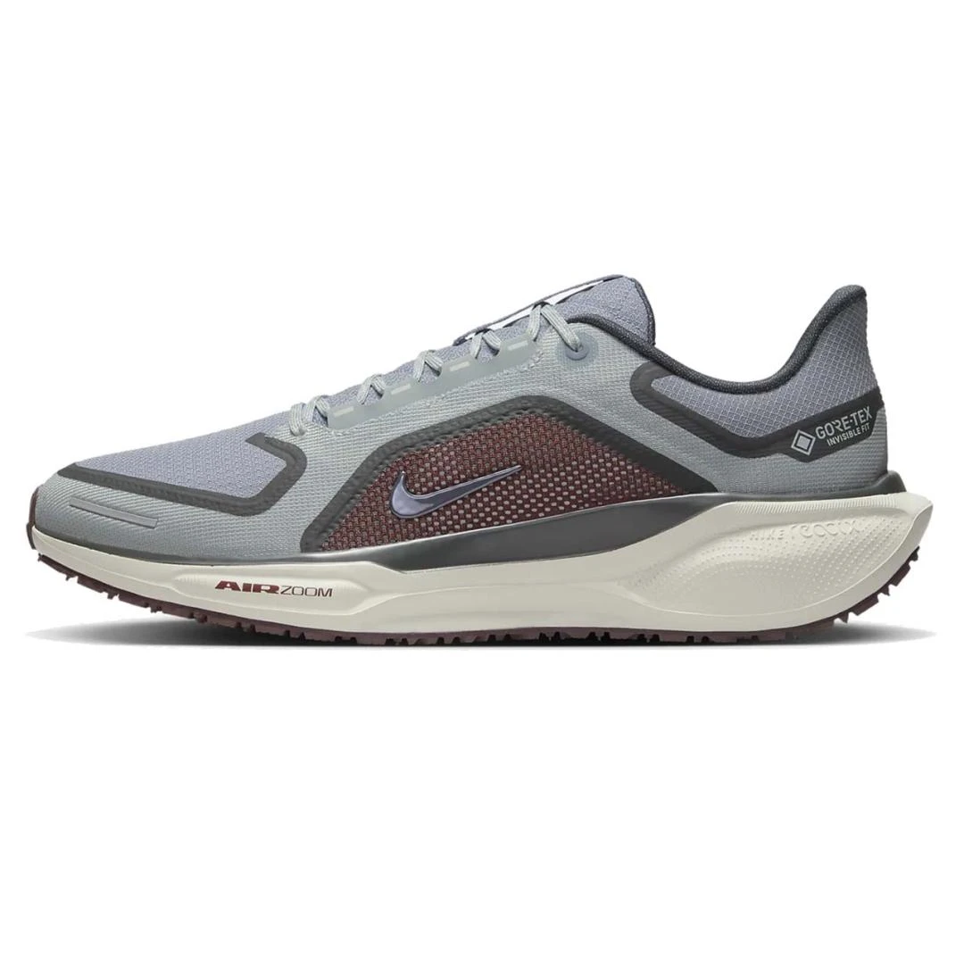 Nike Pegasus 41 GORE-TEX FQ1356-003 | FLEXDOG
